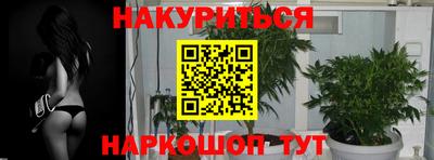 a pvp Пугачёв