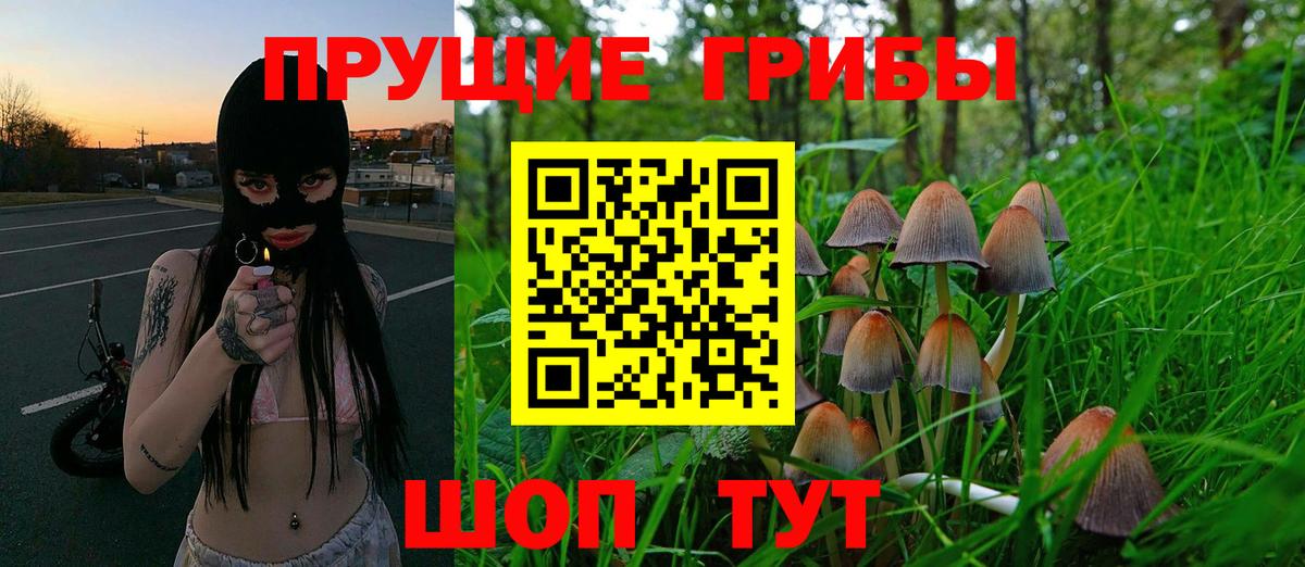 Галлюциногенные грибы Psilocybe  Вход с VPN  Балашиха 