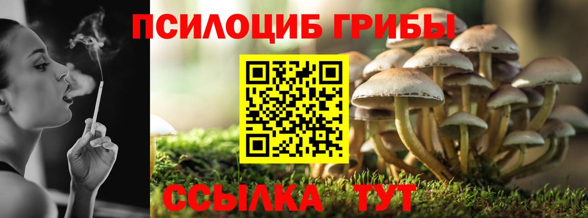 Псилоцибиновые грибы Cubensis Балашиха